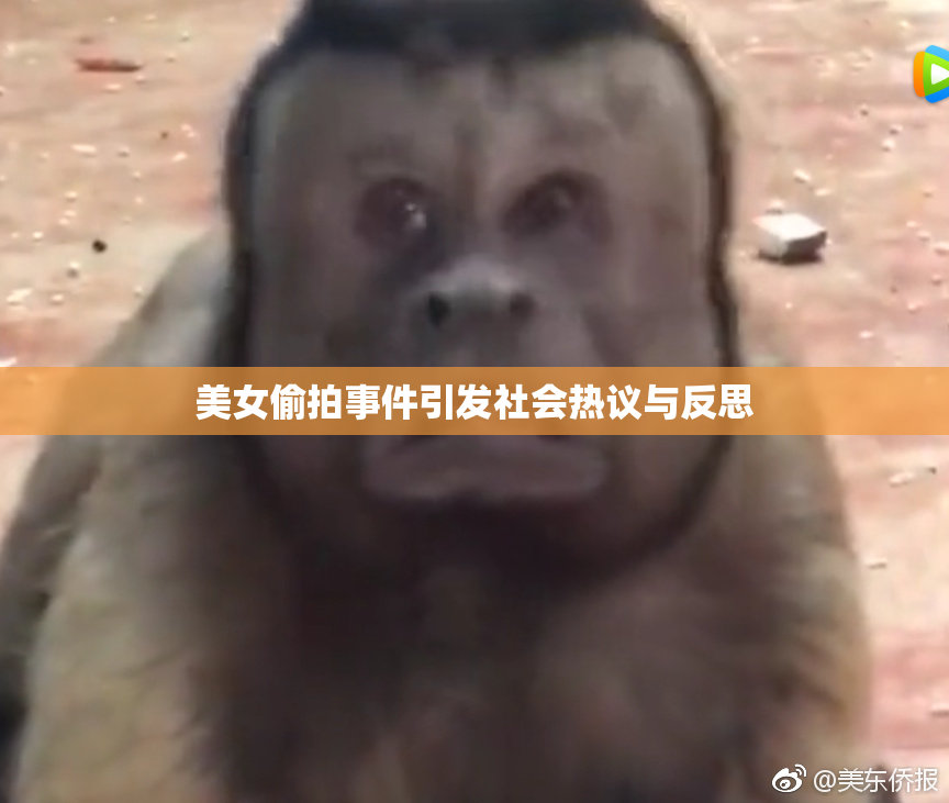 美女偷拍事件引发社会热议与反思