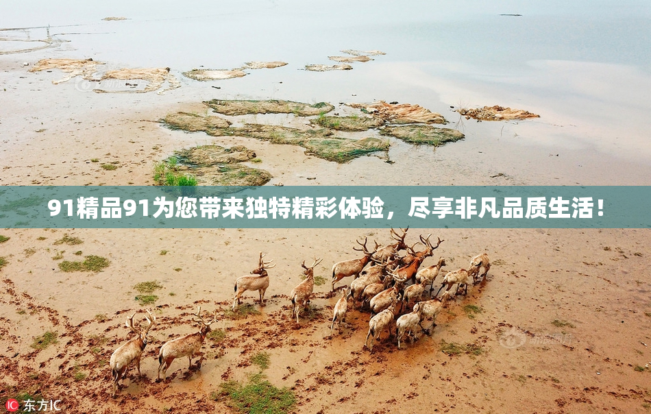 91精品91为您带来独特精彩体验，尽享非凡品质生活！