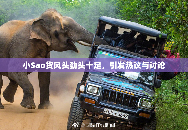 小Sao货风头劲头十足，引发热议与讨论