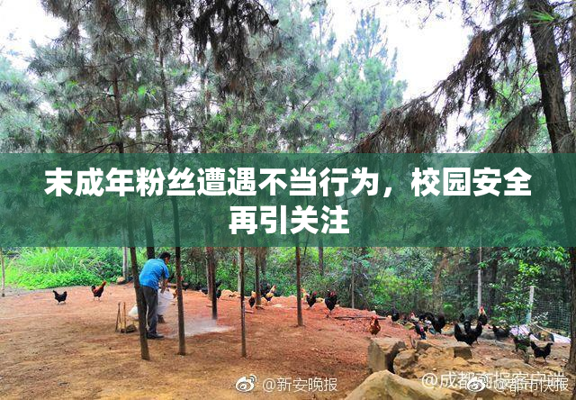 末成年粉丝遭遇不当行为，校园安全再引关注