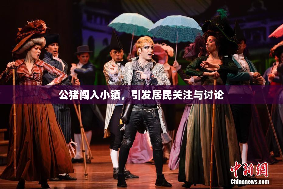 公猪闯入小镇，引发居民关注与讨论