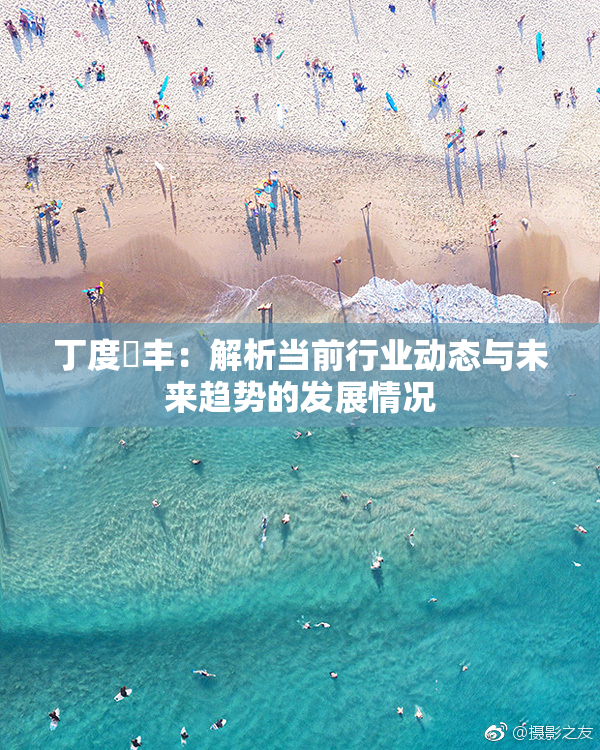 丁度巜丰：解析当前行业动态与未来趋势的发展情况