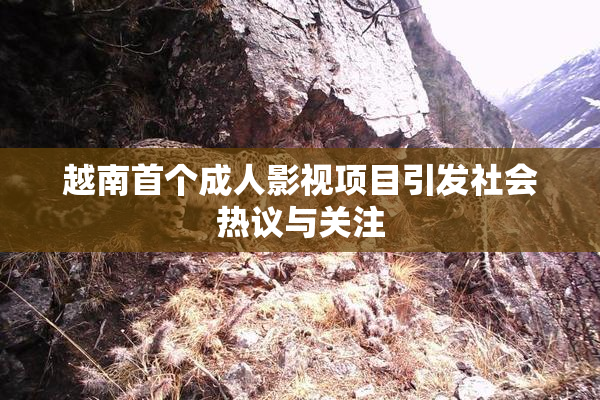 越南首个成人影视项目引发社会热议与关注