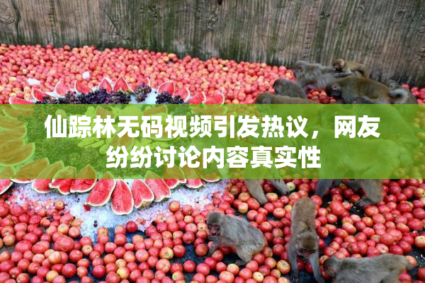 仙踪林无码视频引发热议，网友纷纷讨论内容真实性