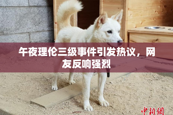 午夜理伦三级事件引发热议，网友反响强烈