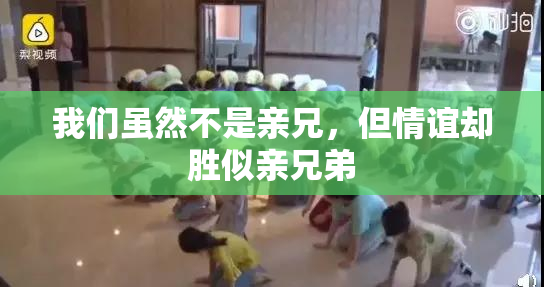 我们虽然不是亲兄，但情谊却胜似亲兄弟