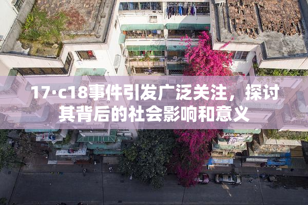 17·c18事件引发广泛关注，探讨其背后的社会影响和意义
