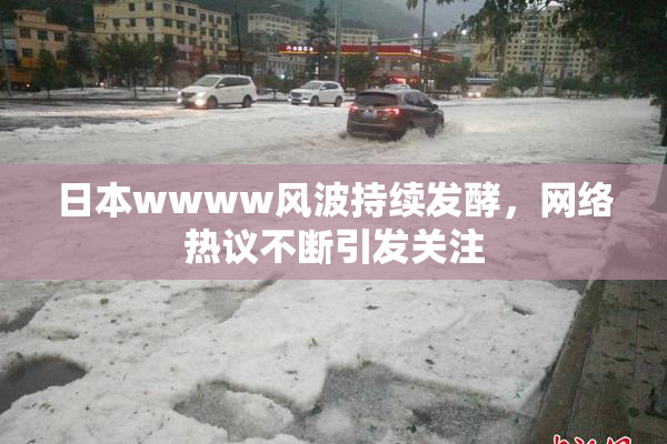 日本wwww风波持续发酵，网络热议不断引发关注