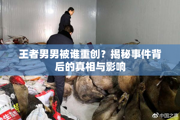 王者男男被谁重创？揭秘事件背后的真相与影响