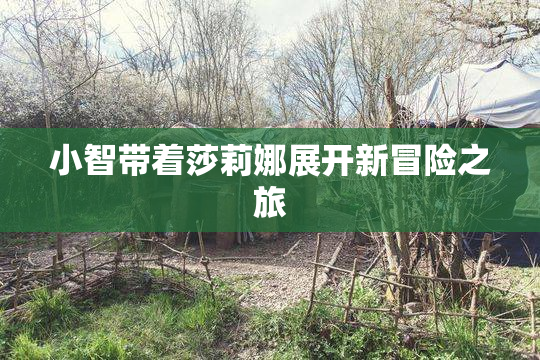 小智带着莎莉娜展开新冒险之旅