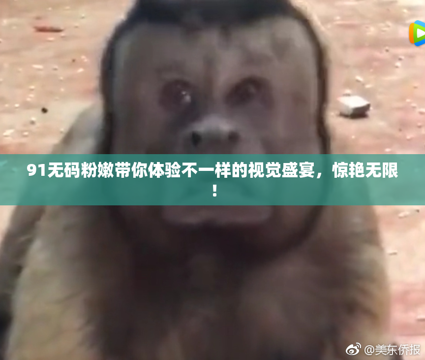 91无码粉嫩带你体验不一样的视觉盛宴，惊艳无限！