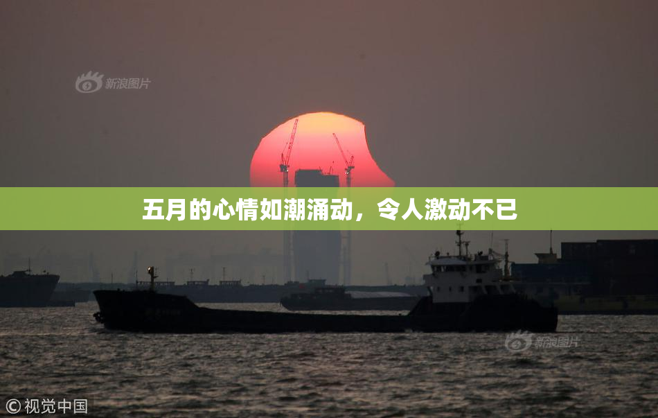 五月的心情如潮涌动，令人激动不已