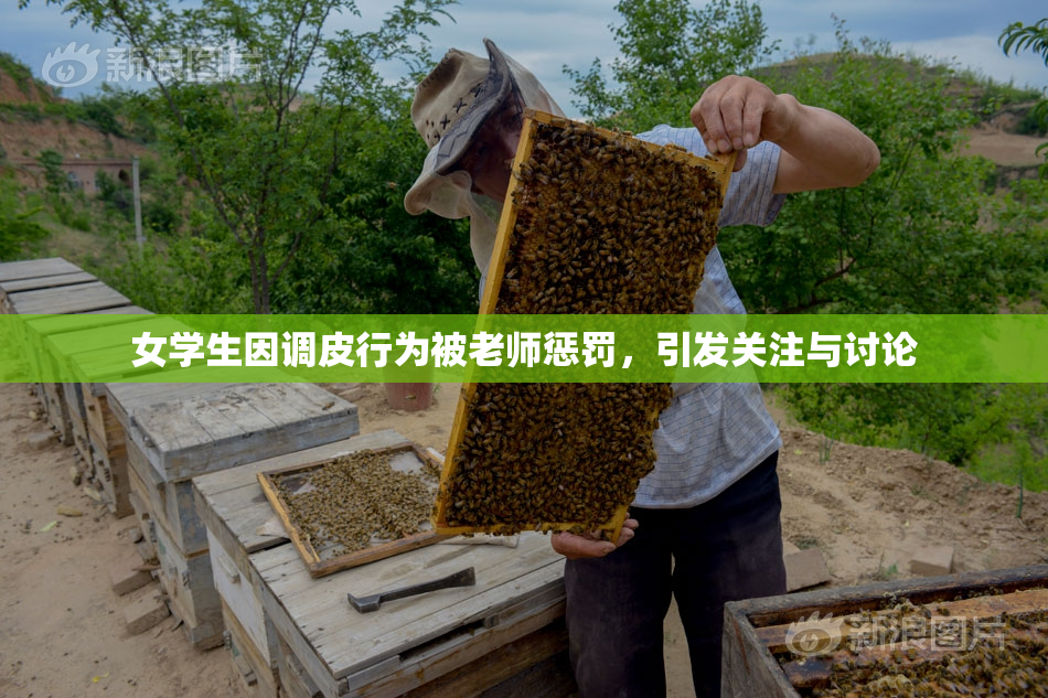 女学生因调皮行为被老师惩罚，引发关注与讨论