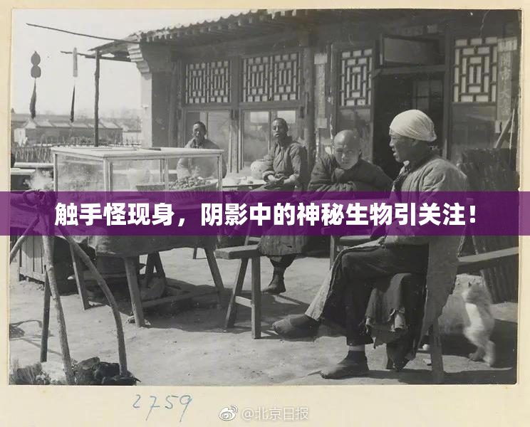 触手怪现身，阴影中的神秘生物引关注！
