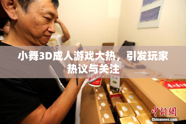 小舞3D成人游戏大热，引发玩家热议与关注