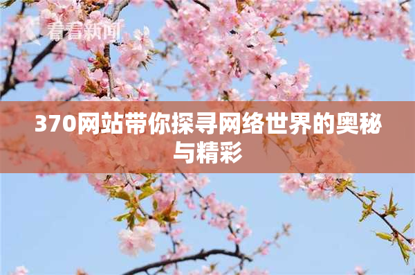 370网站带你探寻网络世界的奥秘与精彩