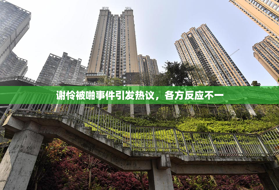 谢怜被啪事件引发热议，各方反应不一