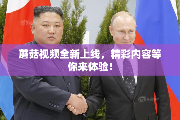 蘑菇视频全新上线，精彩内容等你来体验！