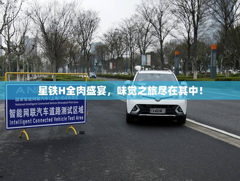 星铁H全肉盛宴，味觉之旅尽在其中！