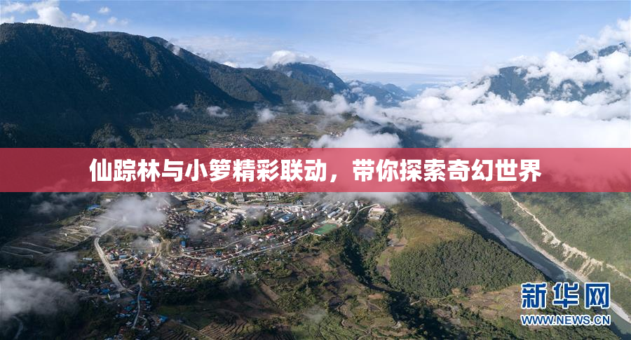 仙踪林与小箩精彩联动，带你探索奇幻世界
