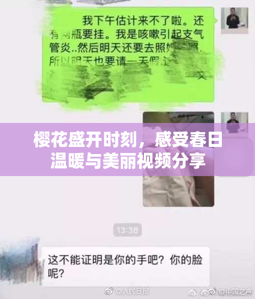 樱花盛开时刻，感受春日温暖与美丽视频分享
