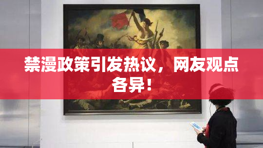 禁漫政策引发热议，网友观点各异！