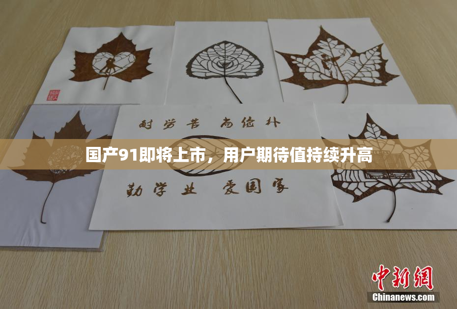 国产91即将上市，用户期待值持续升高