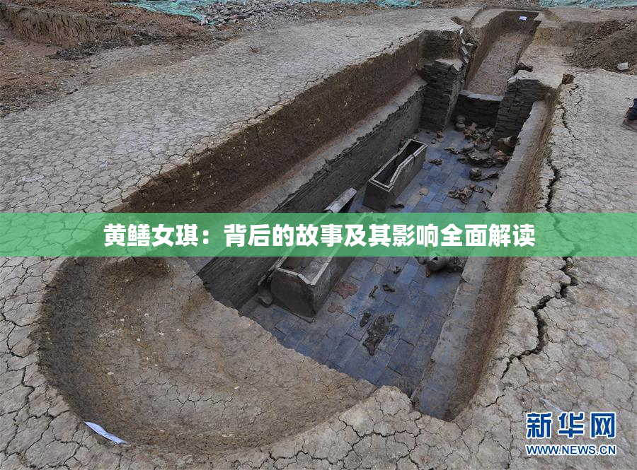 黄鳝女琪：背后的故事及其影响全面解读