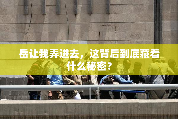 岳让我弄进去，这背后到底藏着什么秘密？