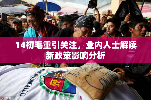14初毛重引关注，业内人士解读新政策影响分析