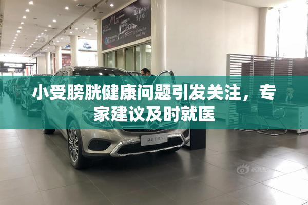 小受膀胱健康问题引发关注，专家建议及时就医