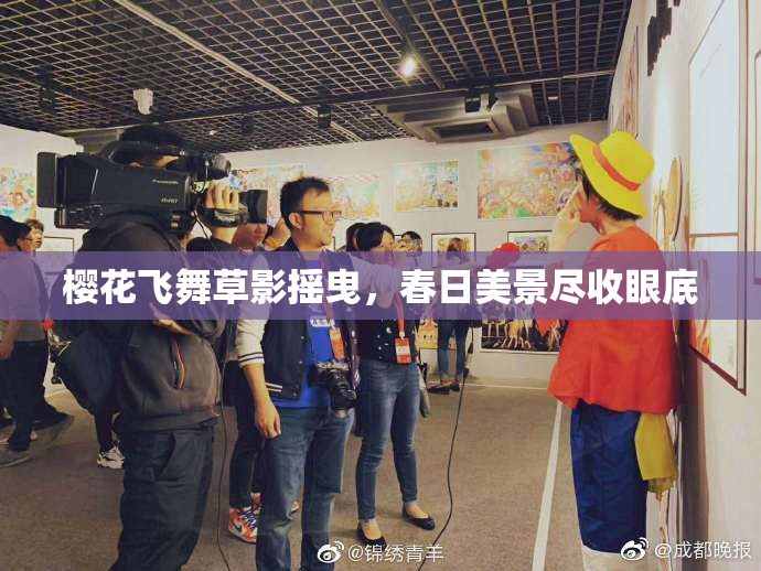 樱花飞舞草影摇曳，春日美景尽收眼底