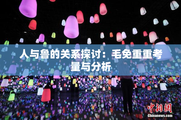 人与鲁的关系探讨：毛免重重考量与分析