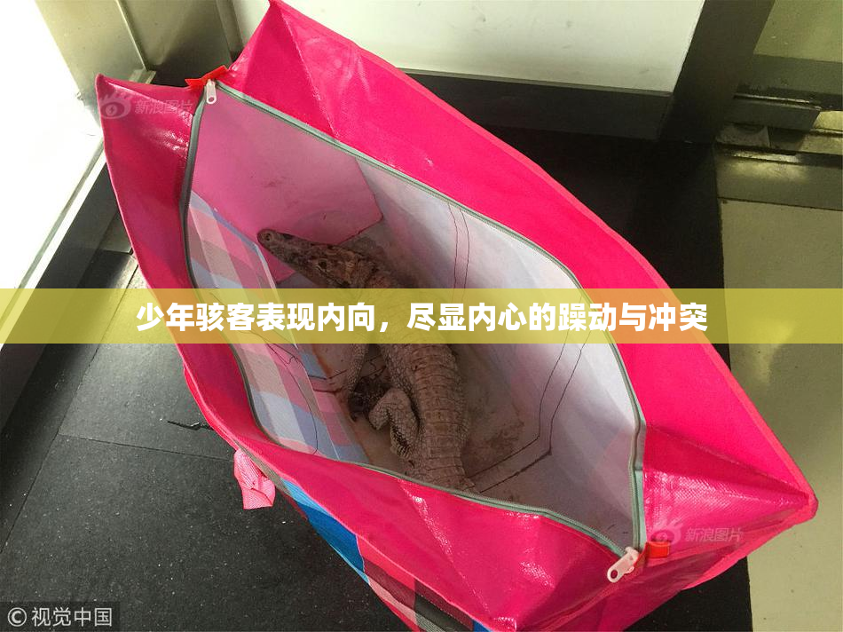 少年骇客表现内向，尽显内心的躁动与冲突