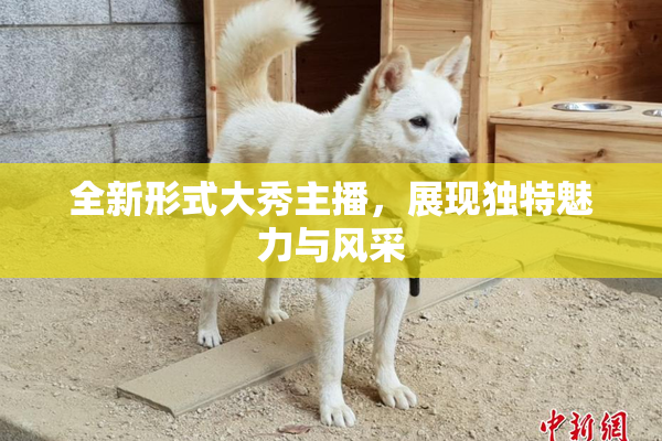 全新形式大秀主播，展现独特魅力与风采