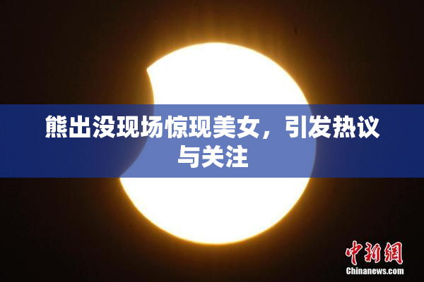 熊出没现场惊现美女，引发热议与关注