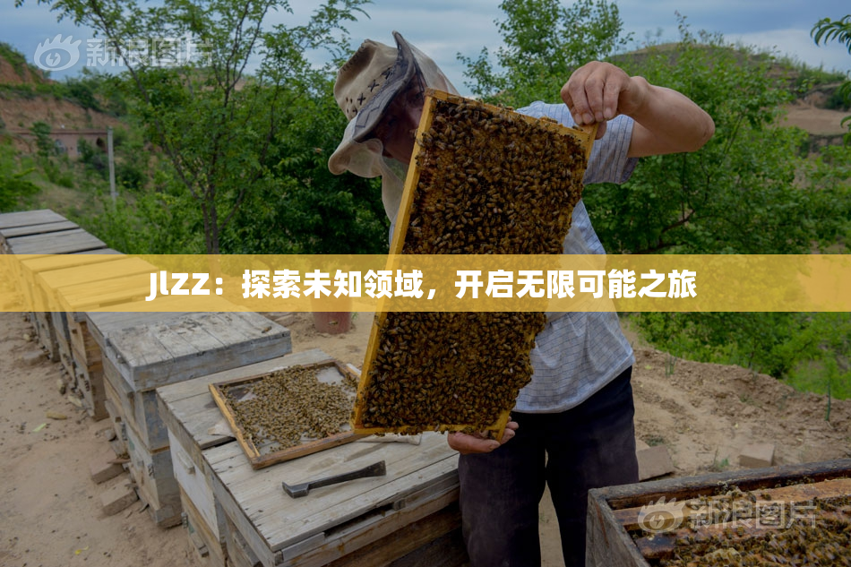 JlZZ：探索未知领域，开启无限可能之旅