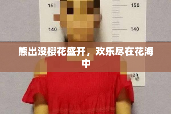 熊出没樱花盛开，欢乐尽在花海中