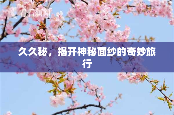 久久秘，揭开神秘面纱的奇妙旅行