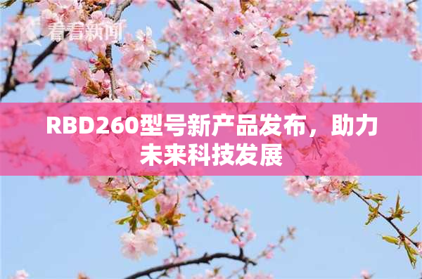 RBD260型号新产品发布，助力未来科技发展