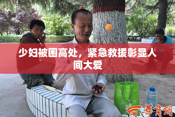 少妇被困高处，紧急救援彰显人间大爱