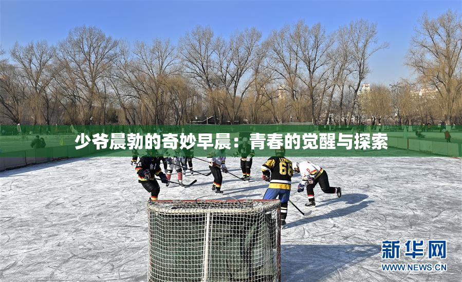 少爷晨勃的奇妙早晨：青春的觉醒与探索