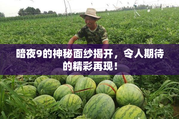 暗夜9的神秘面纱揭开，令人期待的精彩再现！