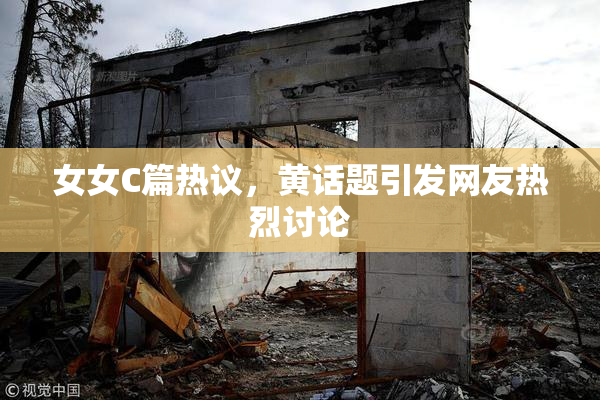 女女C篇热议，黄话题引发网友热烈讨论