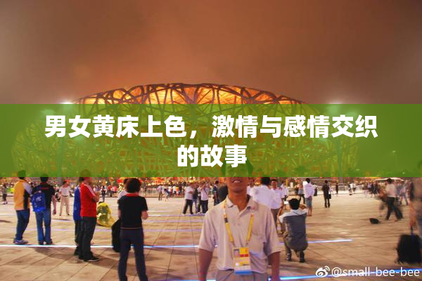男女黄床上色，激情与感情交织的故事