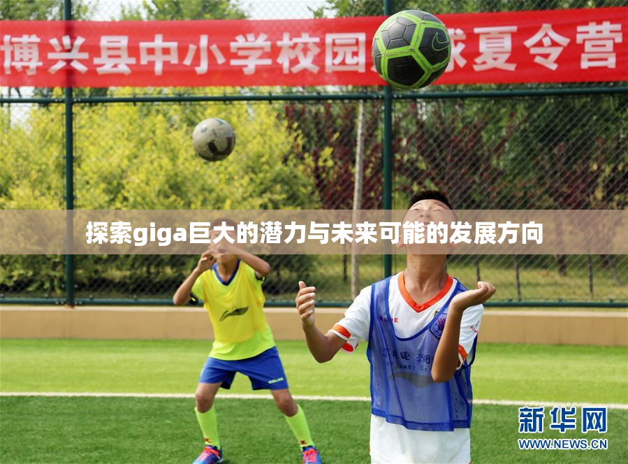 探索giga巨大的潜力与未来可能的发展方向