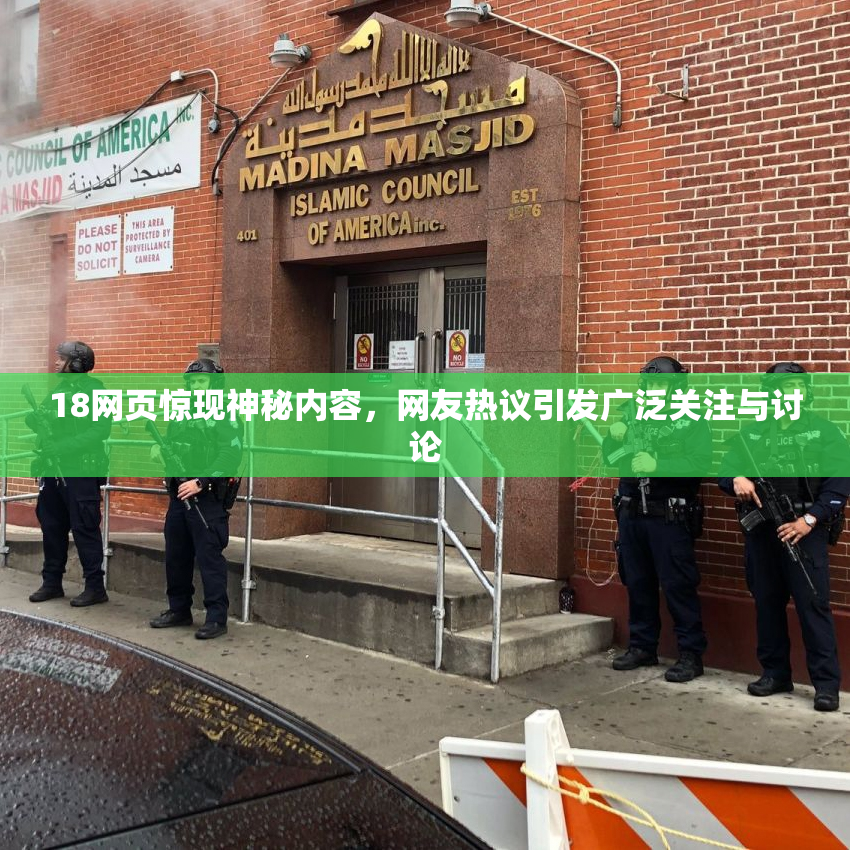 18网页惊现神秘内容，网友热议引发广泛关注与讨论