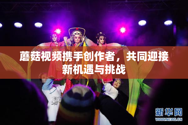 蘑菇视频携手创作者，共同迎接新机遇与挑战