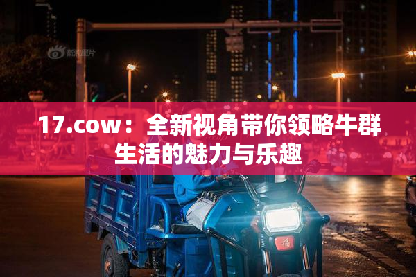 17.cow：全新视角带你领略牛群生活的魅力与乐趣