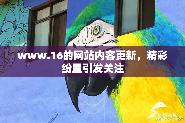 www.16的网站内容更新，精彩纷呈引发关注